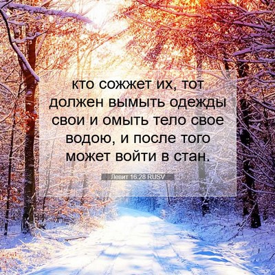 Picture 07 - Левит 16:28 RUSV - кто сожжет их, тот должен - Bible Verse Picture