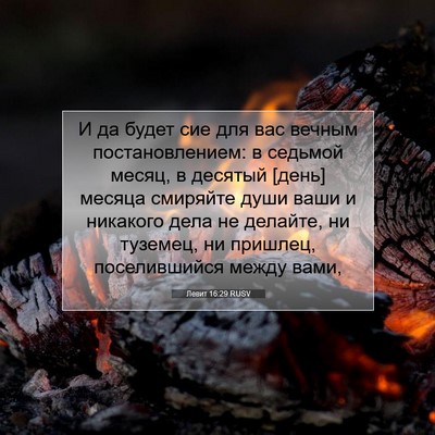 Picture 07 - Левит 16:29 RUSV - И да будет сие для вас - Bible Verse Picture