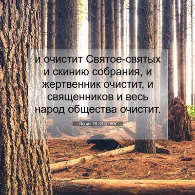 Picture 07 - Левит 16:33 RUSV - и очистит Святое-святых и - Bible Verse Picture