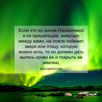 Picture 07 - Левит 17:13 RUSV - Если кто из сынов - Bible Verse Picture