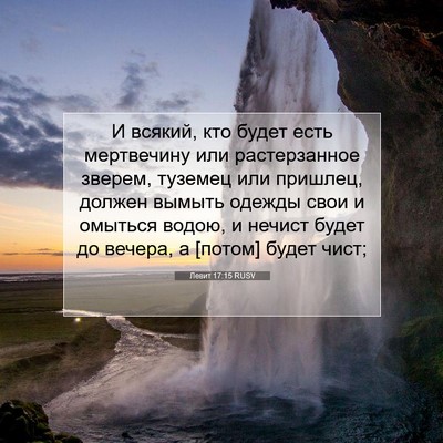 Picture 07 - Левит 17:15 RUSV - И всякий, кто будет есть - Bible Verse Picture