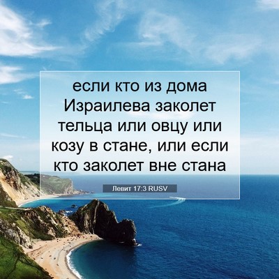 Picture 07 - Левит 17:3 RUSV - если кто из дома Израилева - Bible Verse Picture