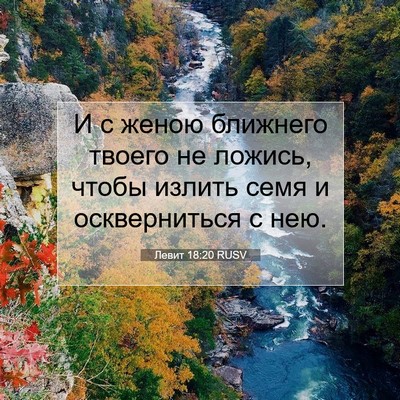 Picture 07 - Левит 18:20 RUSV - И с женою ближнего твоего - Bible Verse Picture