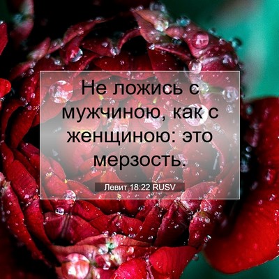 Picture 07 - Левит 18:22 RUSV - Не ложись с мужчиною, как с - Bible Verse Picture