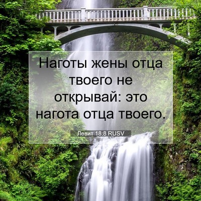 Picture 07 - Левит 18:8 RUSV - Наготы жены отца твоего не - Bible Verse Picture
