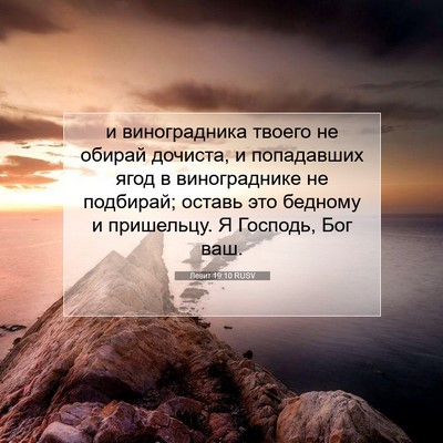 Picture 07 - Левит 19:10 RUSV - и виноградника твоего не - Bible Verse Picture