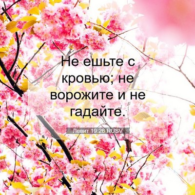 Picture 07 - Левит 19:26 RUSV - Не ешьте с кровью; не - Bible Verse Picture