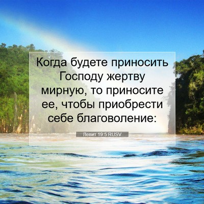 Picture 07 - Левит 19:5 RUSV - Когда будете приносить - Bible Verse Picture