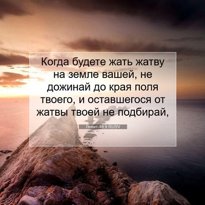 Picture 07 - Левит 19:9 RUSV - Когда будете жать жатву на - Bible Verse Picture