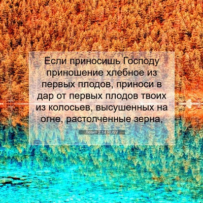 Picture 07 - Левит 2:14 RUSV - Если приносишь Господу - Bible Verse Picture