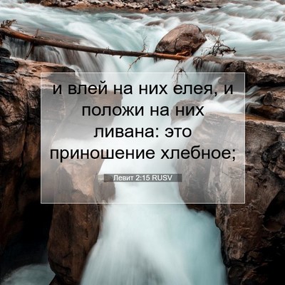 Picture 07 - Левит 2:15 RUSV - и влей на них елея, и положи - Bible Verse Picture