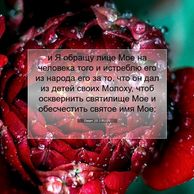 Picture 07 - Левит 20:3 RUSV - и Я обращу лице Мое на - Bible Verse Picture