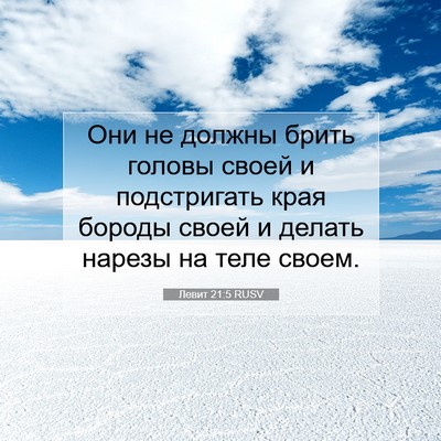 Picture 07 - Левит 21:5 RUSV - Они не должны брить головы - Bible Verse Picture