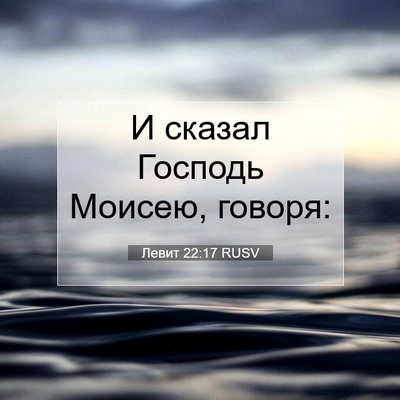 Picture 07 - Левит 22:17 RUSV - И сказал Господь Моисею, - Bible Verse Picture