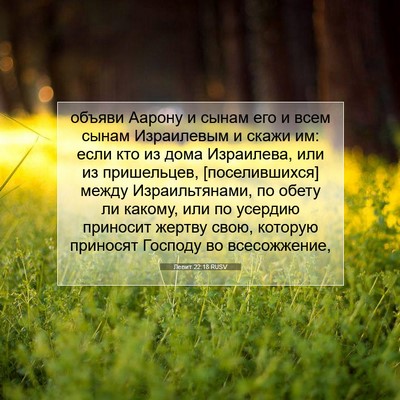 Picture 07 - Левит 22:18 RUSV - объяви Аарону и сынам его и - Bible Verse Picture