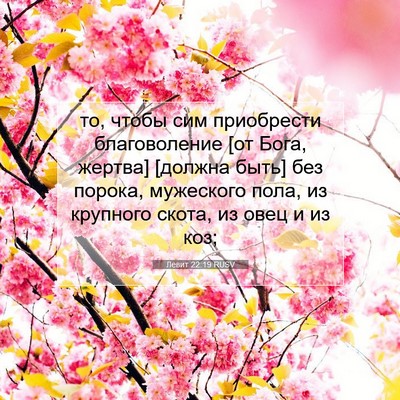Picture 07 - Левит 22:19 RUSV - то, чтобы сим приобрести - Bible Verse Picture
