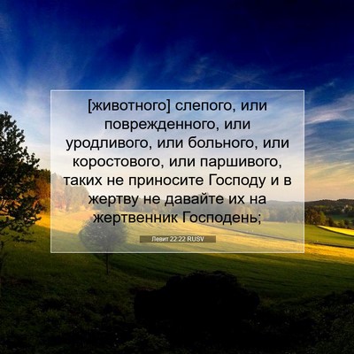 Picture 07 - Левит 22:22 RUSV - [животного] слепого, или - Bible Verse Picture