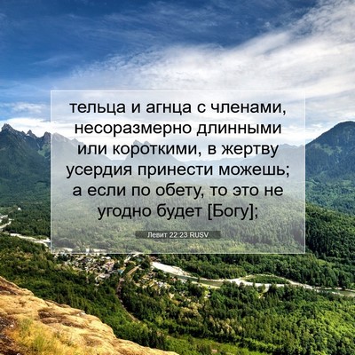 Picture 07 - Левит 22:23 RUSV - тельца и агнца с членами, - Bible Verse Picture