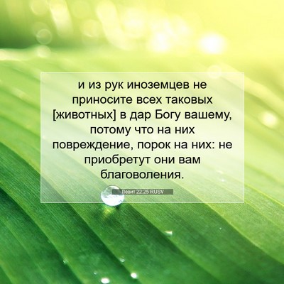 Picture 07 - Левит 22:25 RUSV - и из рук иноземцев не - Bible Verse Picture