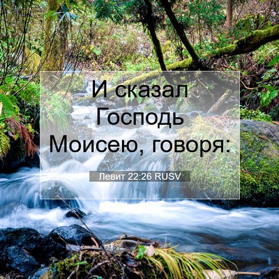 Picture 07 - Левит 22:26 RUSV - И сказал Господь Моисею, - Bible Verse Picture