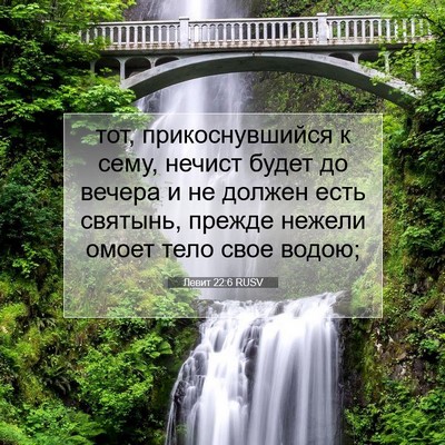 Picture 07 - Левит 22:6 RUSV - тот, прикоснувшийся к сему, - Bible Verse Picture