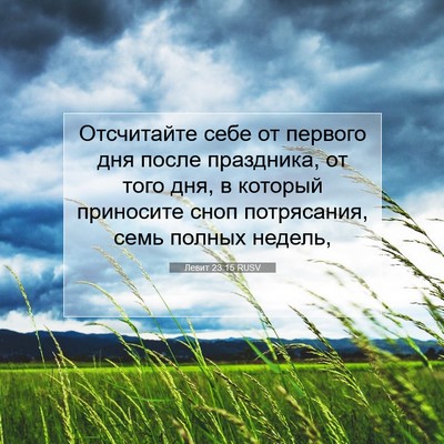 Picture 07 - Левит 23:15 RUSV - Отсчитайте себе от первого - Bible Verse Picture