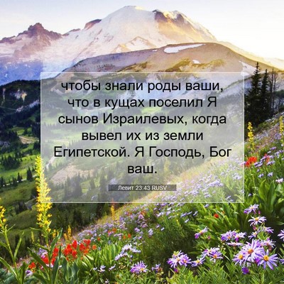 Picture 07 - Левит 23:43 RUSV - чтобы знали роды ваши, что - Bible Verse Picture