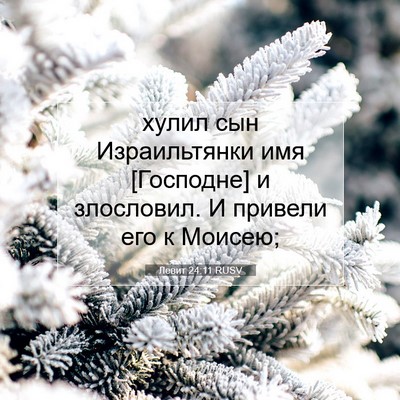 Picture 07 - Левит 24:11 RUSV - хулил сын Израильтянки имя - Bible Verse Picture