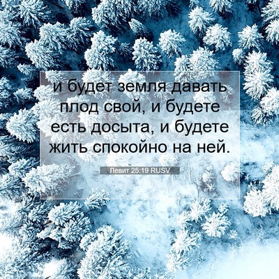Picture 07 - Левит 25:19 RUSV - и будет земля давать плод - Bible Verse Picture