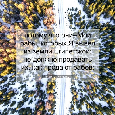 Picture 07 - Левит 25:42 RUSV - потому что они--Мои рабы, - Bible Verse Picture