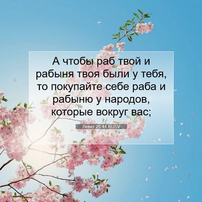 Picture 07 - Левит 25:44 RUSV - А чтобы раб твой и рабыня - Bible Verse Picture