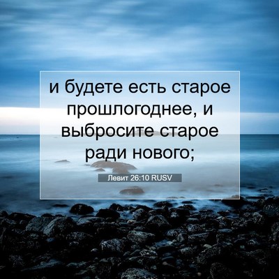 Picture 07 - Левит 26:10 RUSV - и будете есть старое - Bible Verse Picture
