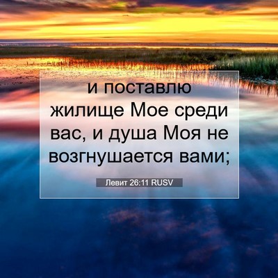 Picture 07 - Левит 26:11 RUSV - и поставлю жилище Мое - Bible Verse Picture
