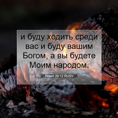 Picture 07 - Левит 26:12 RUSV - и буду ходить среди вас и - Bible Verse Picture