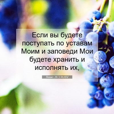Picture 07 - Левит 26:3 RUSV - Если вы будете поступать - Bible Verse Picture
