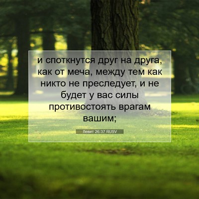 Picture 07 - Левит 26:37 RUSV - и споткнутся друг на друга, - Bible Verse Picture
