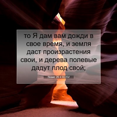 Picture 07 - Левит 26:4 RUSV - то Я дам вам дожди в свое - Bible Verse Picture
