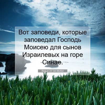 Picture 07 - Левит 27:34 RUSV - Вот заповеди, которые - Bible Verse Picture