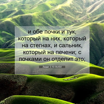 Picture 07 - Левит 3:10 RUSV - и обе почки и тук, который - Bible Verse Picture