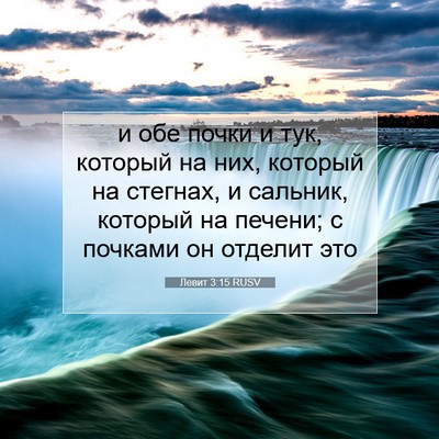 Picture 07 - Левит 3:15 RUSV - и обе почки и тук, который - Bible Verse Picture