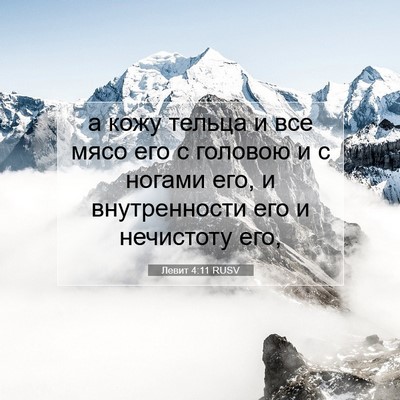 Picture 07 - Левит 4:11 RUSV - а кожу тельца и все мясо - Bible Verse Picture