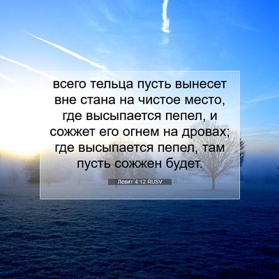 Picture 07 - Левит 4:12 RUSV - всего тельца пусть вынесет - Bible Verse Picture