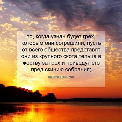 Picture 07 - Левит 4:14 RUSV - то, когда узнан будет грех, - Bible Verse Picture