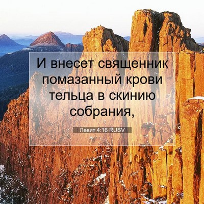 Picture 07 - Левит 4:16 RUSV - И внесет священник - Bible Verse Picture