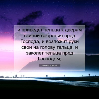 Picture 07 - Левит 4:4 RUSV - и приведет тельца к дверям - Bible Verse Picture