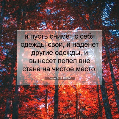 Picture 07 - Левит 6:11 RUSV - и пусть снимет с себя - Bible Verse Picture