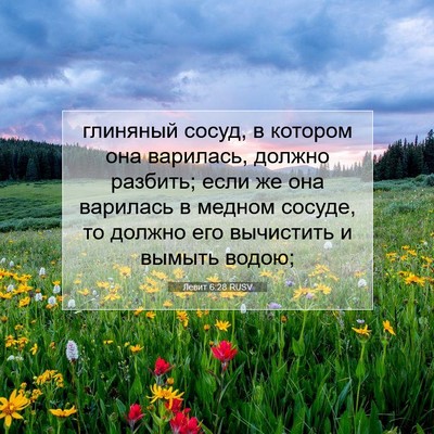 Picture 07 - Левит 6:28 RUSV - глиняный сосуд, в котором - Bible Verse Picture