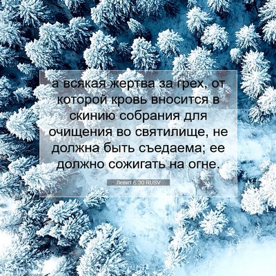 Picture 07 - Левит 6:30 RUSV - а всякая жертва за грех, от - Bible Verse Picture