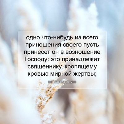Picture 07 - Левит 7:14 RUSV - одно что-нибудь из всего - Bible Verse Picture