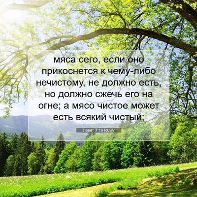 Picture 07 - Левит 7:19 RUSV - мяса сего, если оно - Bible Verse Picture